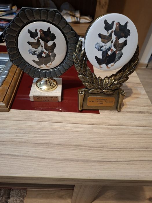 Vand  obiecte       Trofee