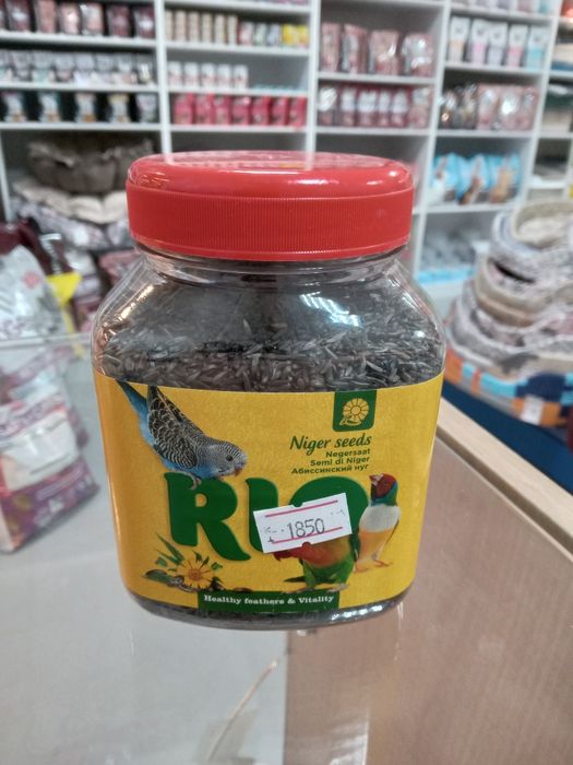 Лакомства для птиц