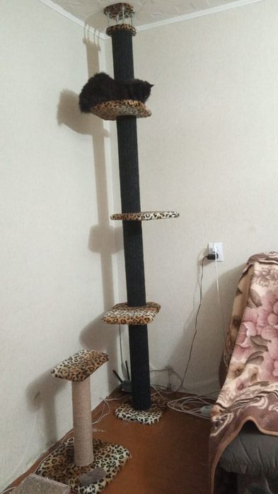 Когтеточка от пола до потолка