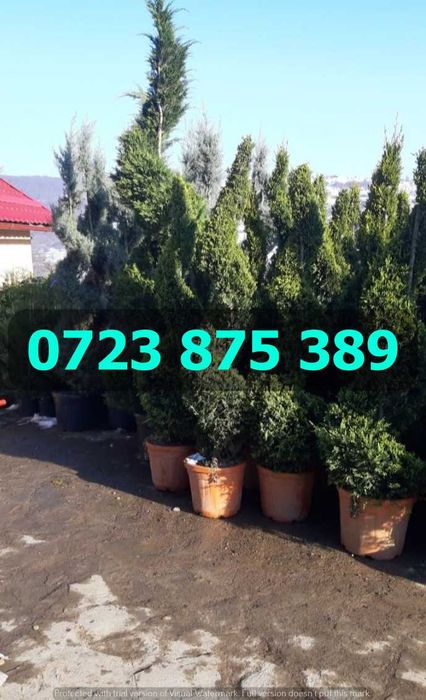 Produse de Top pentru Grădină – Confirmare Vizuală la Livrare