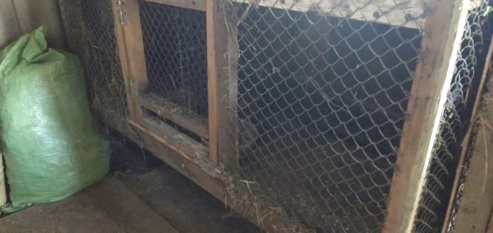 Клетки для кроликов