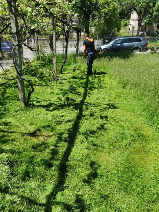 Рязане на опасни дървета ; чистене на дворни места ;рязане на дърва за