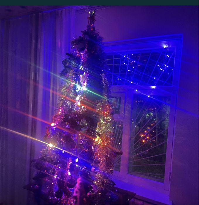 Шырша шырша елка