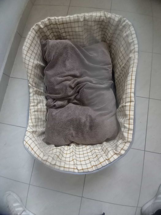 Ново легло за домашен любимец