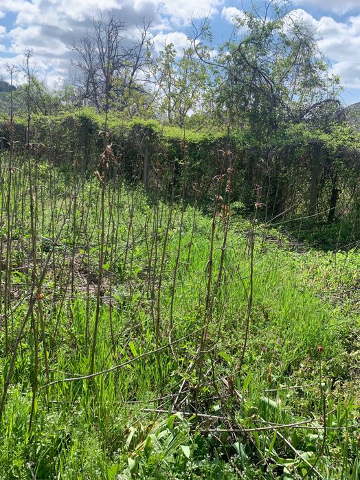 Къща за реставрация в   с. Илинденци Струмяни Сандански