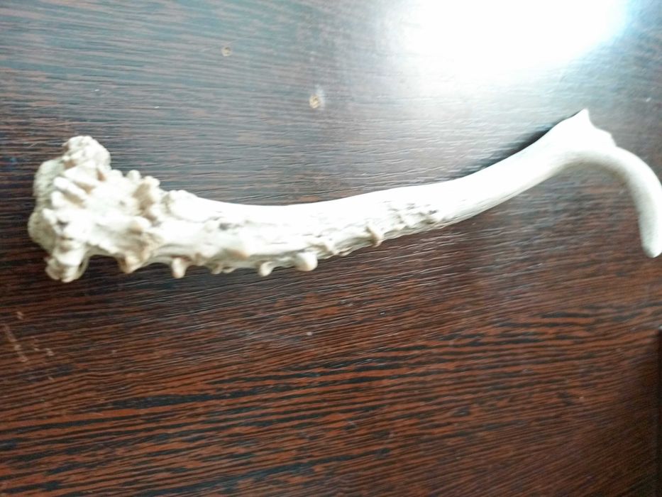 заготовка для ручки или сувенир