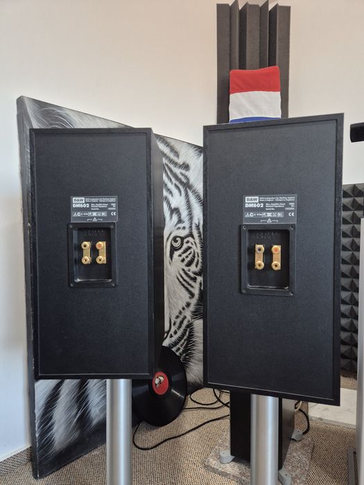 Bowers Wilkins DM 602 boxe de raft