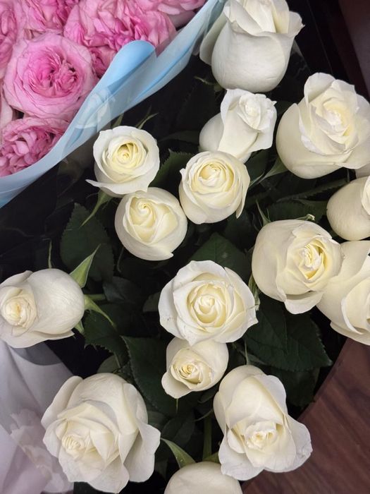 Продам Цветы,Подарили только что