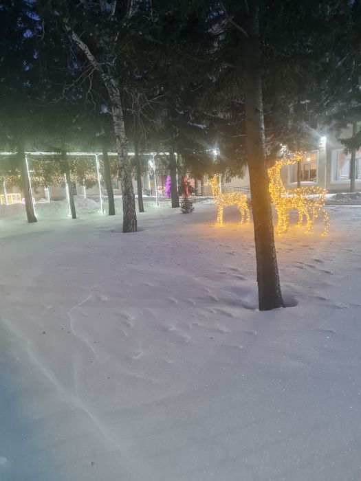 Сдам квартиру на природе