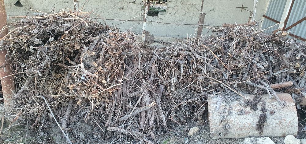 Mevali daraxtlar shoxlari sotiladi