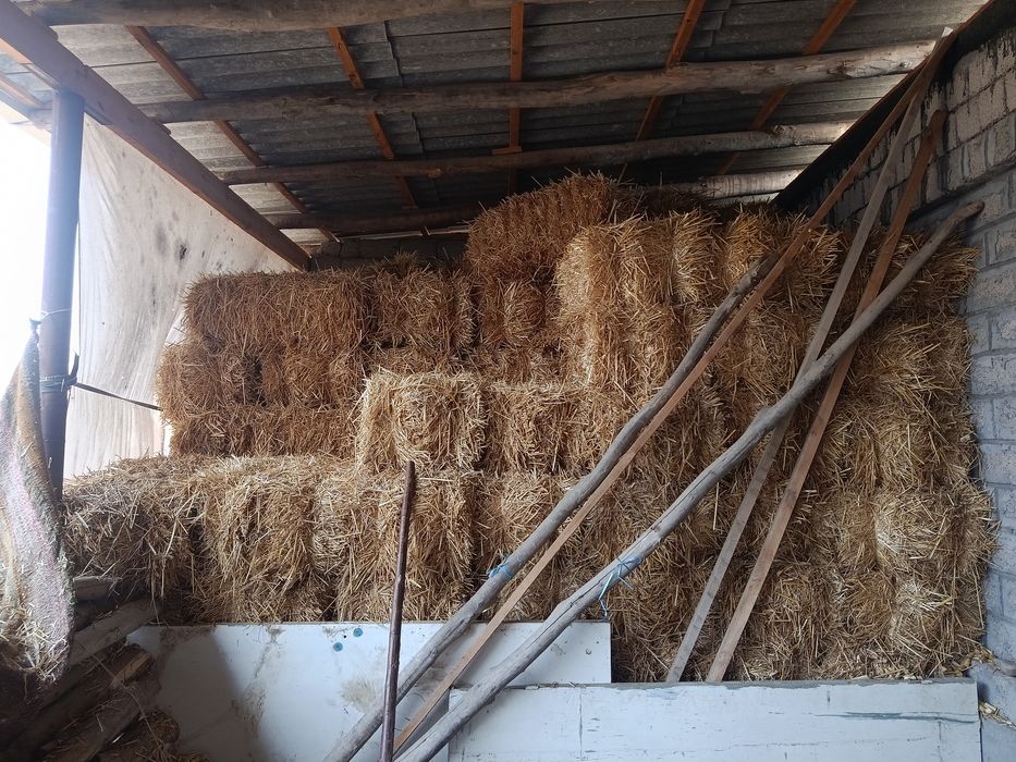 Somon Pres sotiladi,Yaxshi holatda