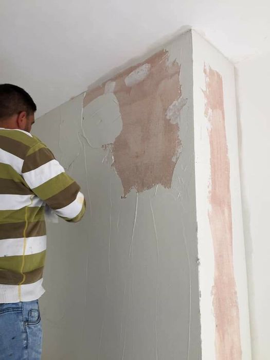 Zugrav rapid si serios