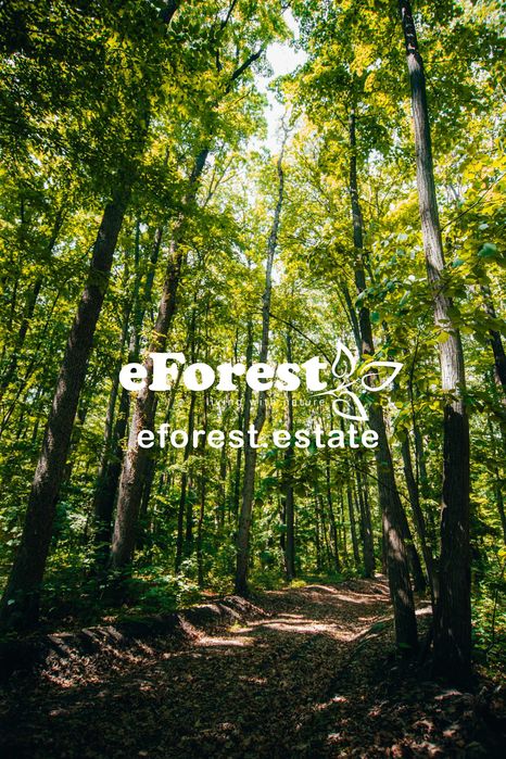 Teren premium 780 mp, acces rapid DN1A, cartier nou, Crevedia