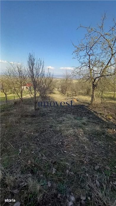 De vanzare teren extravilan in Orasul Nou