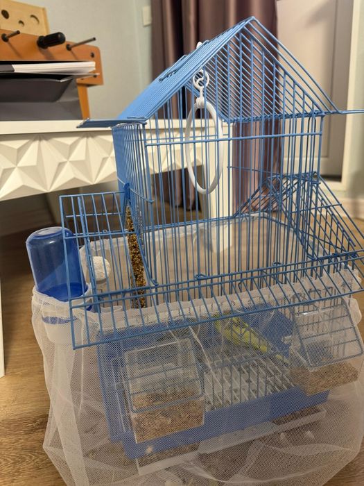 Продам двух попугаев с клеткой