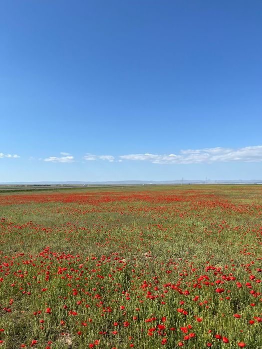 Сдам в аренду дом в селе