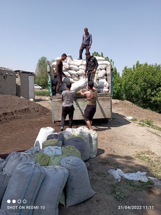 Biogumus sotiladi optim narxda