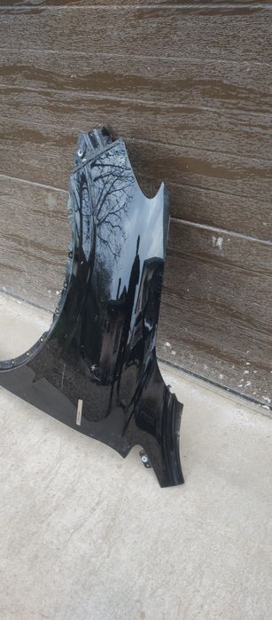 Aripa stângă fata kadjar