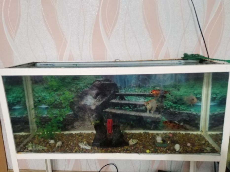 Продам Аквариум вместе рыбками!