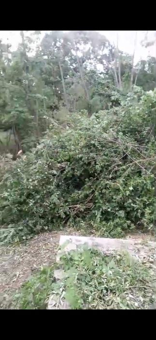 Defrișări  terenuri