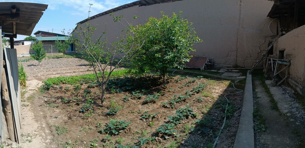 Kafolati bor yaxshi joy