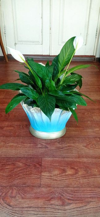 Горшки под цветы