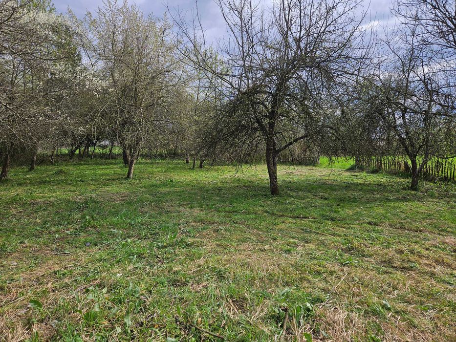 Casă Tradițională din Lemn de Stejar