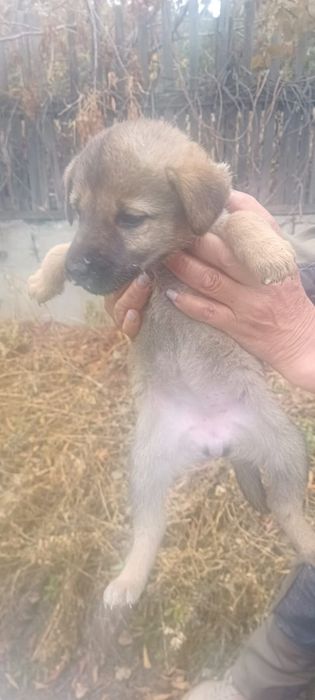 Девчонки и мальчишки ждут своих родителей.!