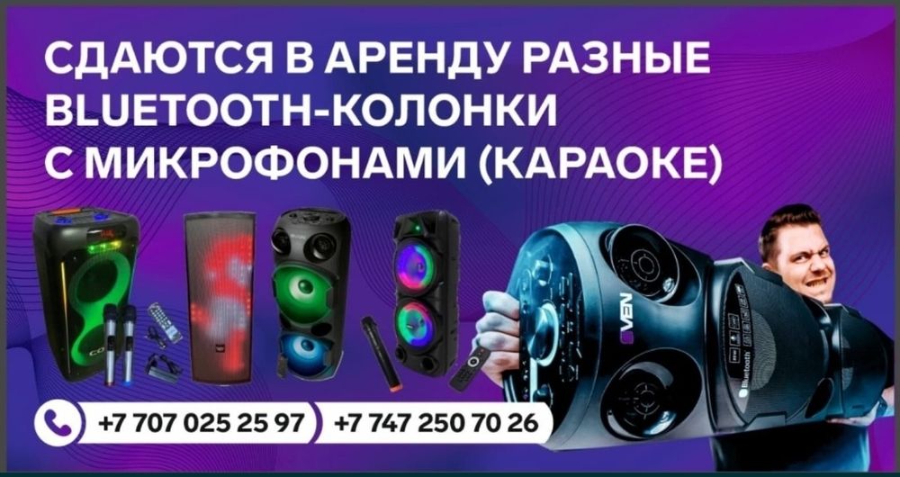Прокат аренда караоке колонки блютуз с микрофонами