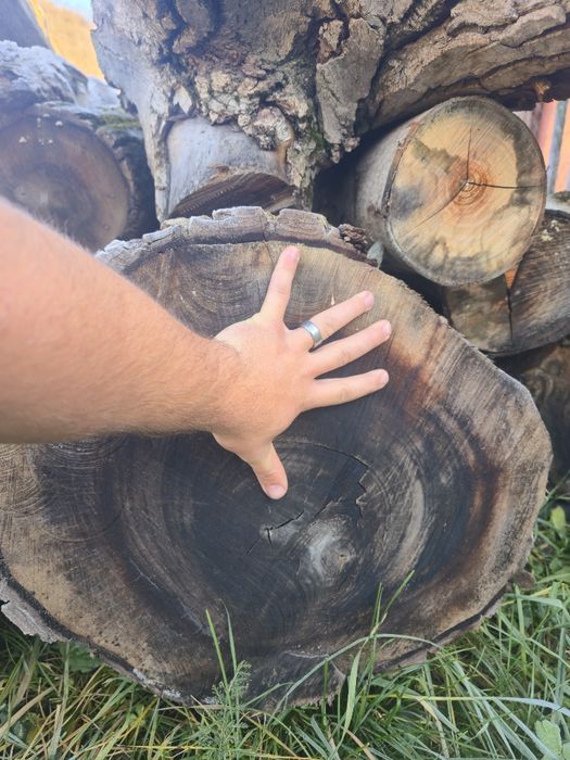 Vand lemn de NUC pret  NEGOCIABIL