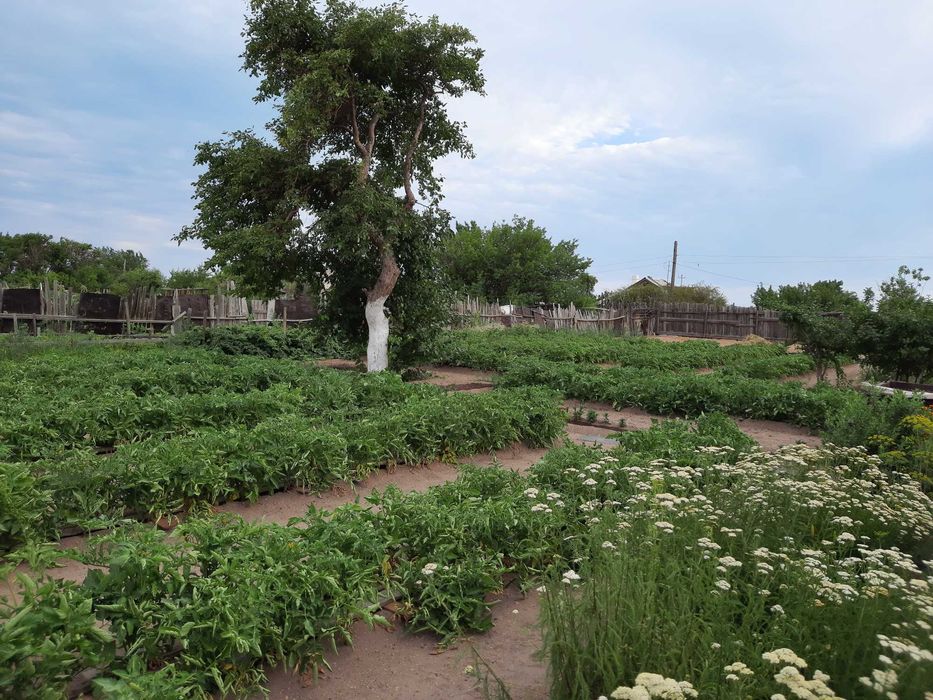 Продам дачу на 2-ой водоколонке