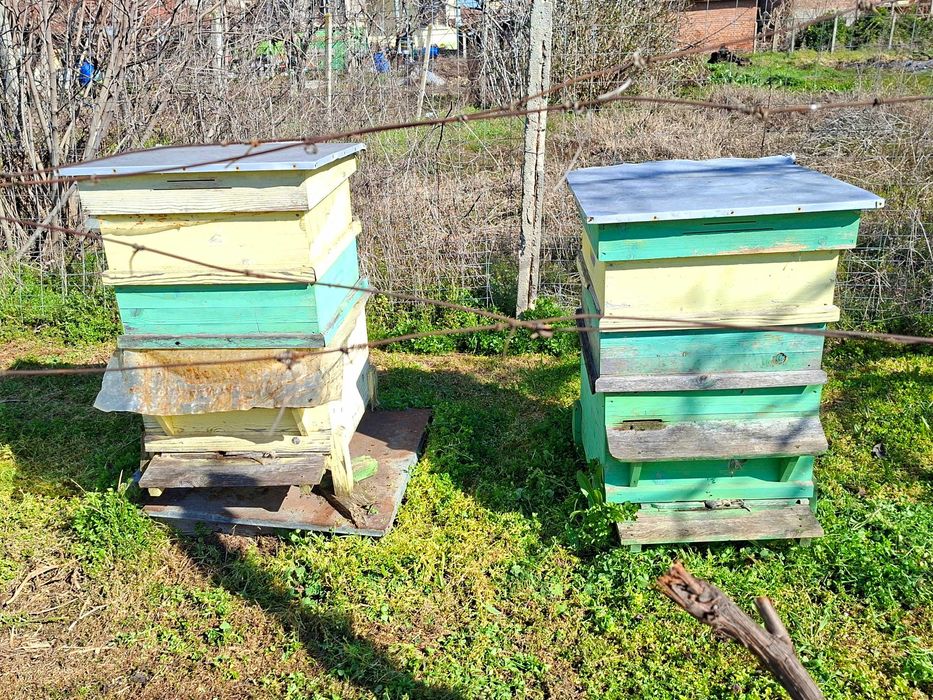 Пчелни кошери - 9бр. с две семейства