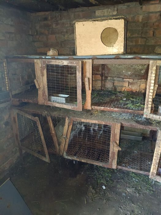 Клетки для кроликов