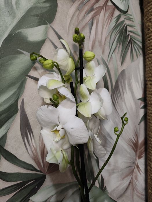 Не знаешь что подарить?