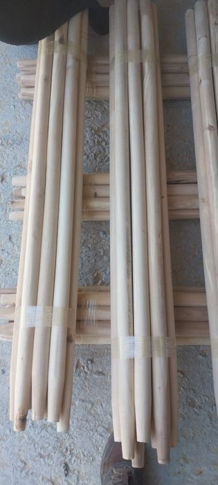 Черенок курек саб