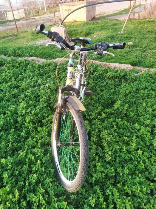 Velosiped Sport Verba 26