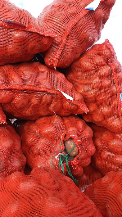 Продам картофель