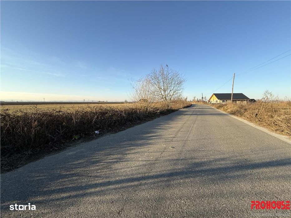 Letea Veche- Holt - 3.600mp - extravilan