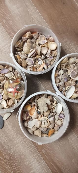 Accesorii acvariu/ terariu