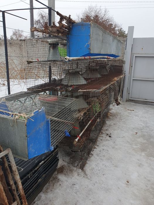 Клетки для кроликов