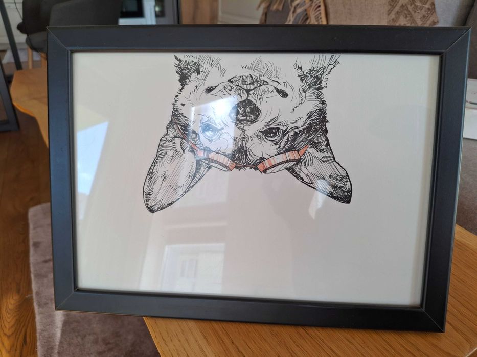 Картина куче с рамка