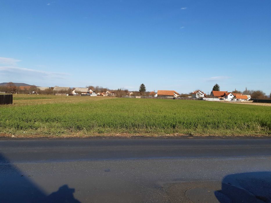 Teren intravilan construibil utilitati asfalt central Lunca Calnicului