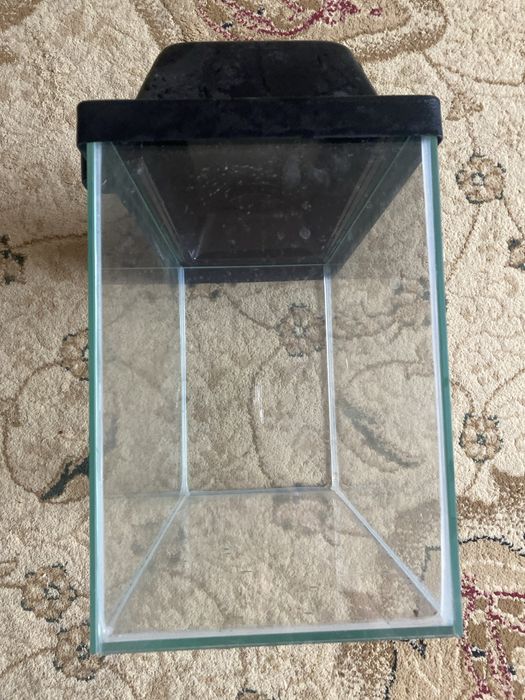 Аквариум в хорошем состояние