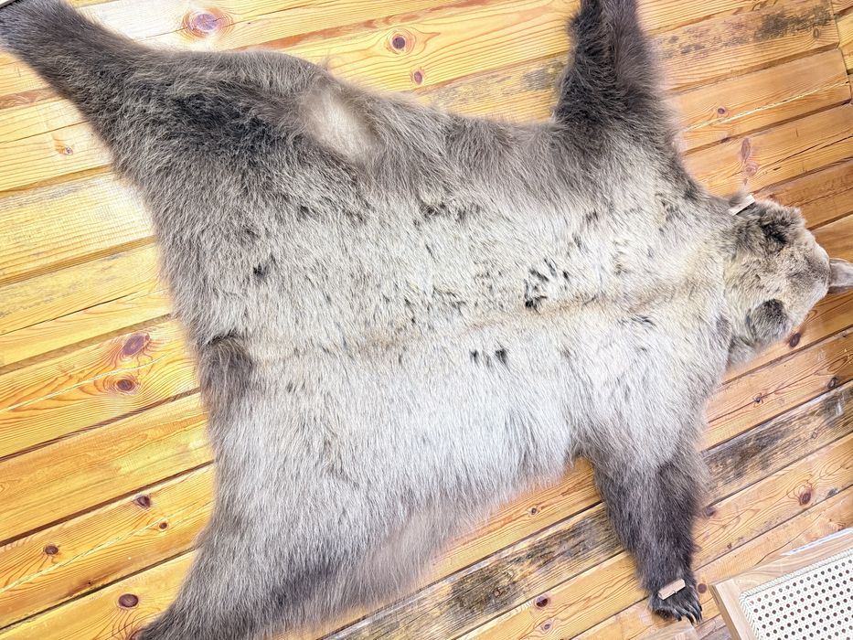 Натуралный медведь