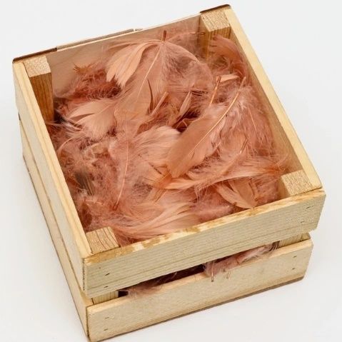 Перья для праздника, творчества