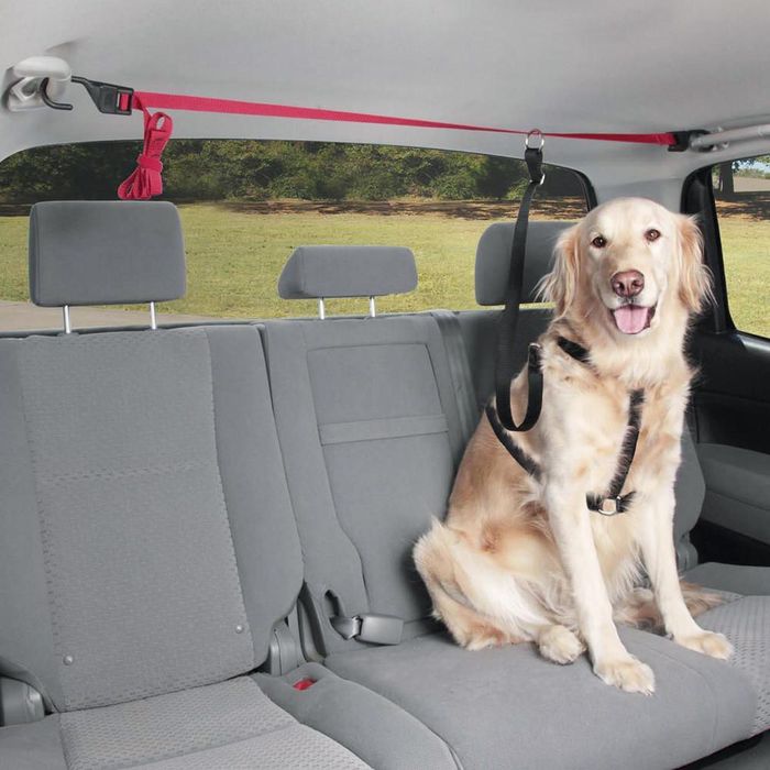 Centura siguranta animale de companie Pets Travel, prindere maner sustinere interior