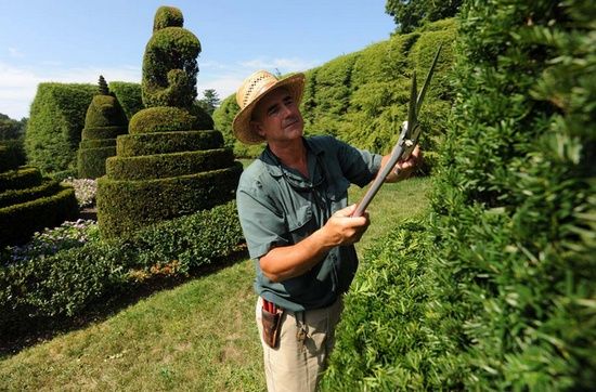 Садавники
Идут двое человек и убирают сад, огород