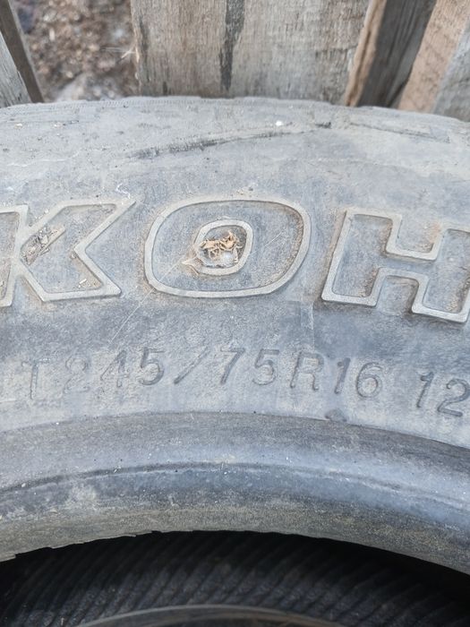 Шины на 16 летние