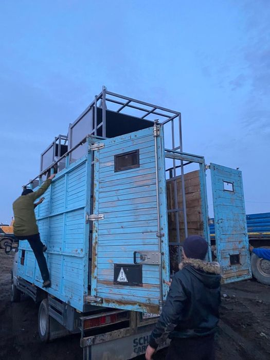 Прицеп Коневозка