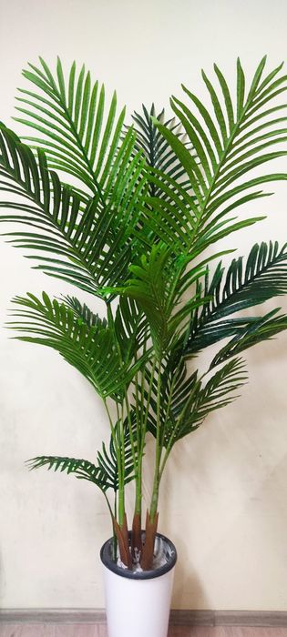 Пальма ховея искусственная